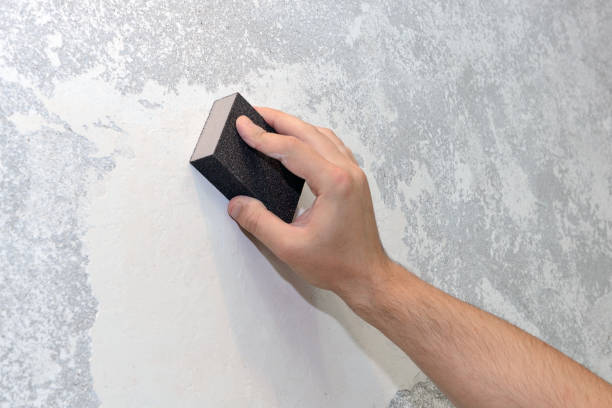 Best Basement Mold Removal  in Edgerton, WI