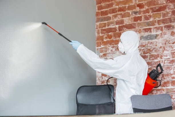 Best Environmental Consulting for Mold Prevention  in Edgerton, WI