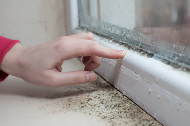 Best Residential Mold Inspection & Testing  in Edgerton, WI