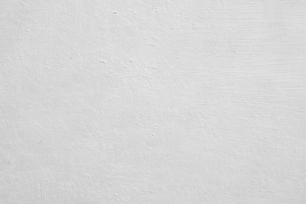 Edgerton, WI Mold Removal Company