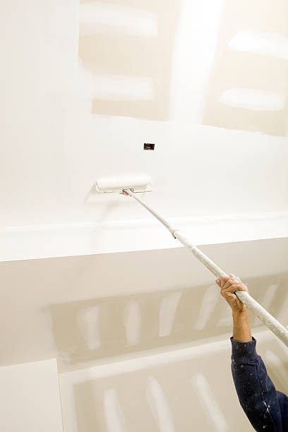 Best Environmental Consulting for Mold Prevention  in Edgerton, WI